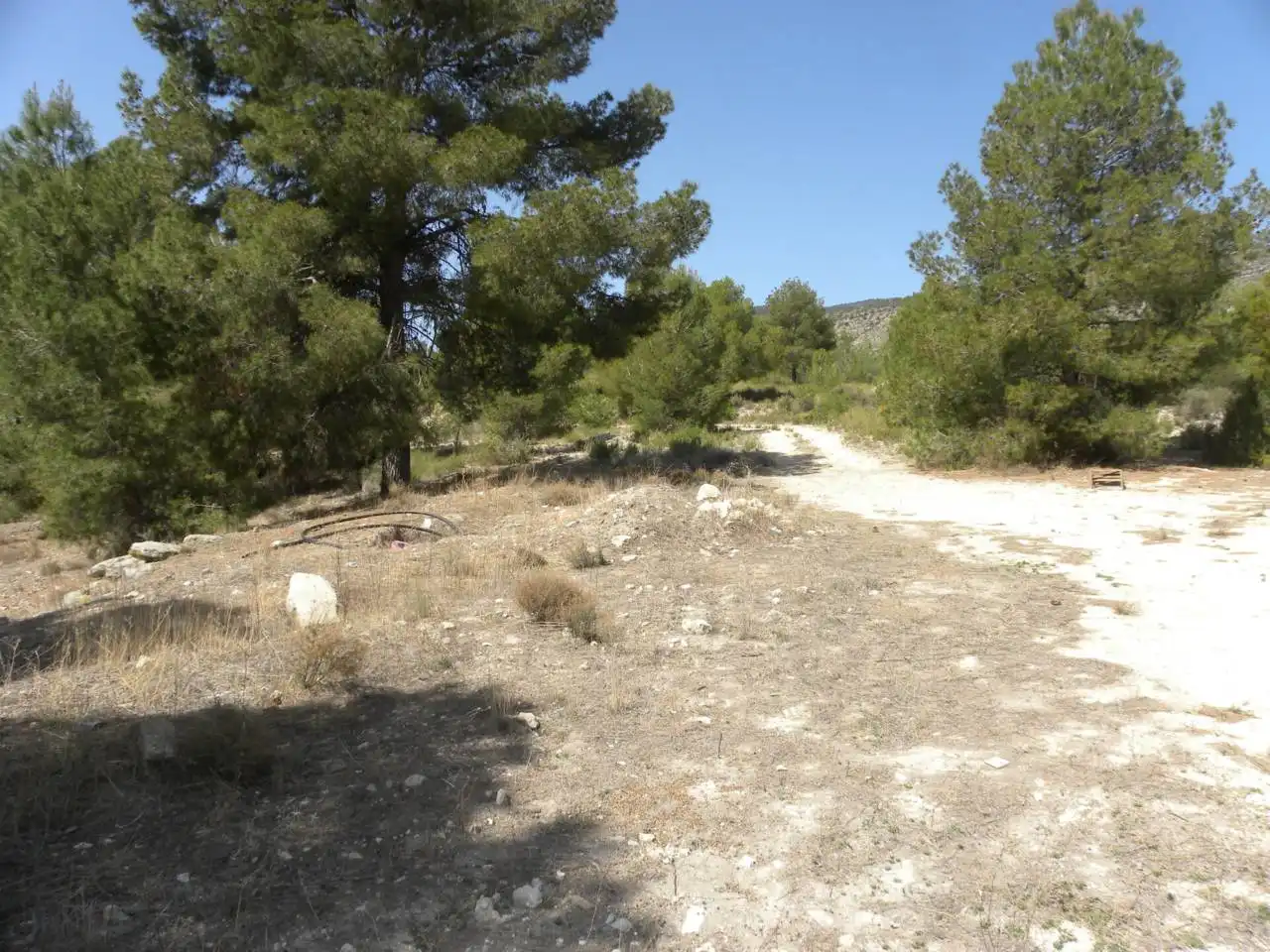 Terreno rustico in vendita a Carretera Llano de Béjar, imagen 2