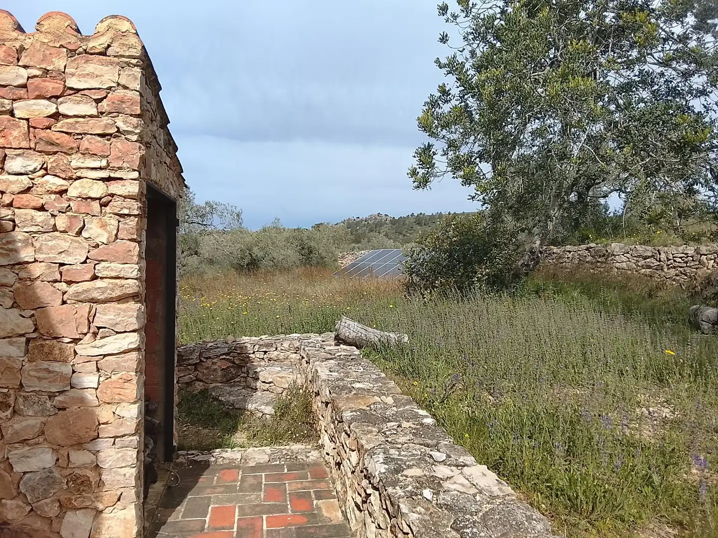 Casa rustica in vendita a Polígono 56 Paraje 586 PLANA DEL LLORELL, imagen 5