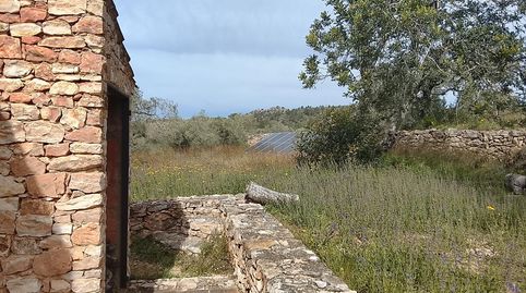 Foto 5 de Finca rústica en venta en Polígono 56 Paraje 586 Plana del Llorell, Tivissa, Tarragona