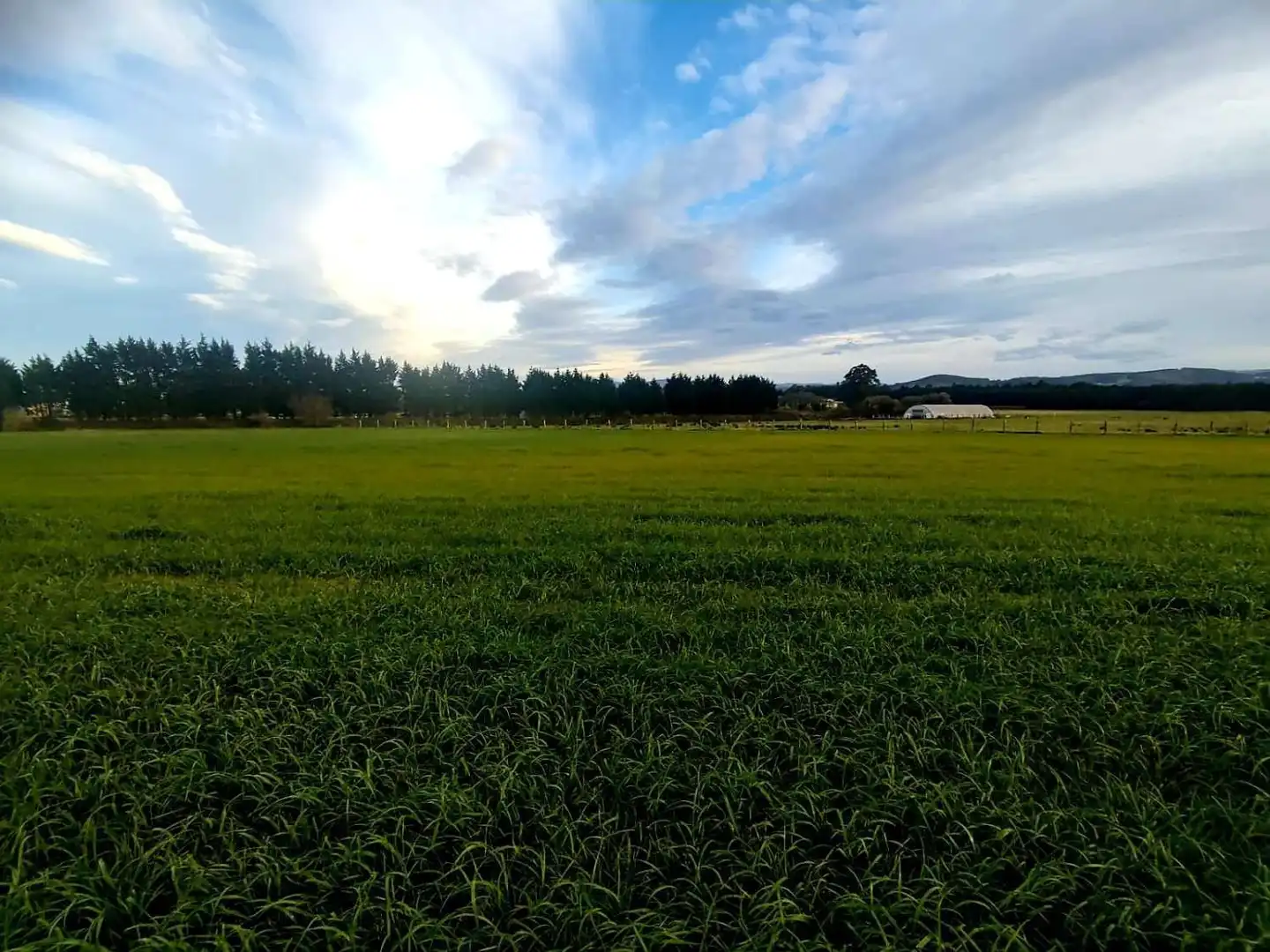 Wohnbaugrundstück zum Verkauf in El Forcado, Campos y Salave, imagen 2