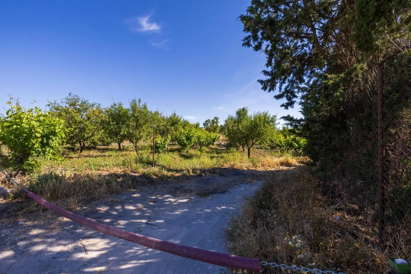 Rural land for sale in Dúrcal, imagen 3
