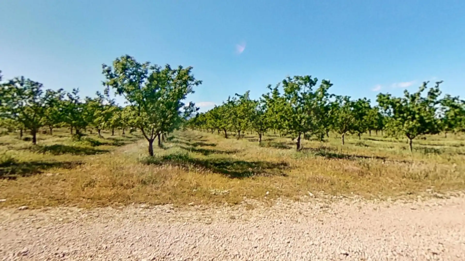 Terreny rústic en venda a Ulldecona, imagen 11