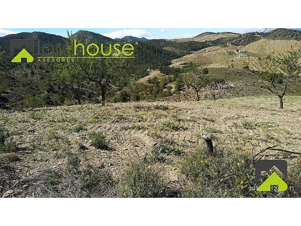 Finca rústica en venta en Lorca
