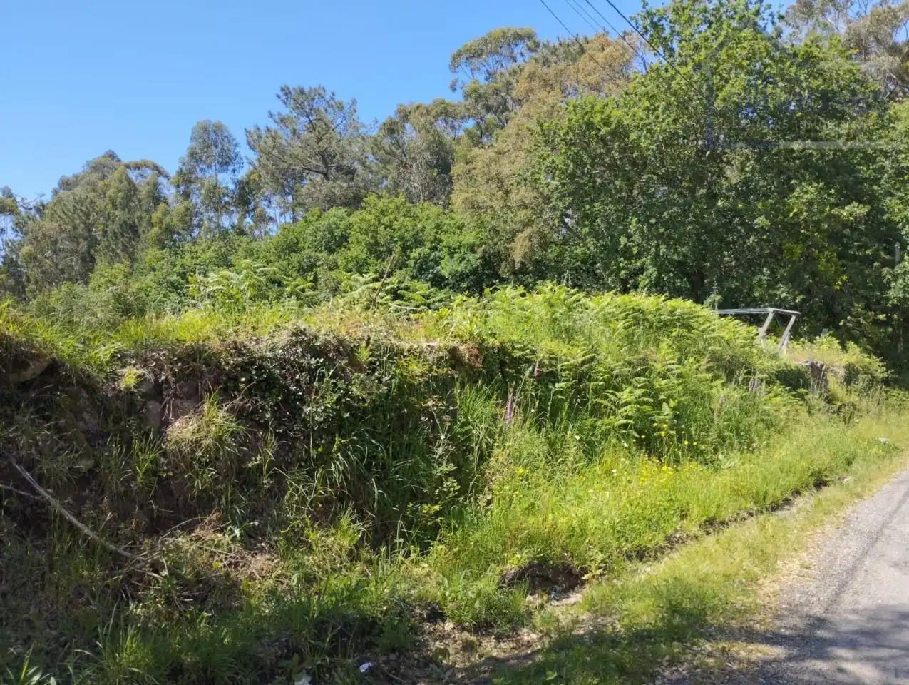 Terreno residenziale in vendita a O Rosal, imagen 6