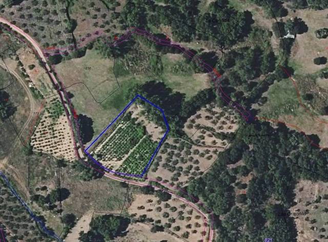 Terreno en Venta en Lagunilla