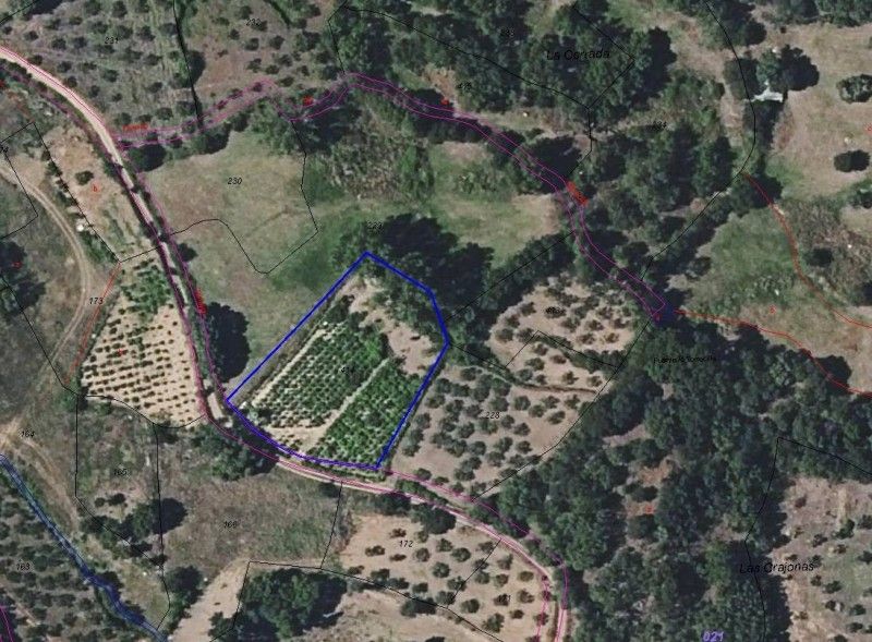 Land for sale in Lagunilla