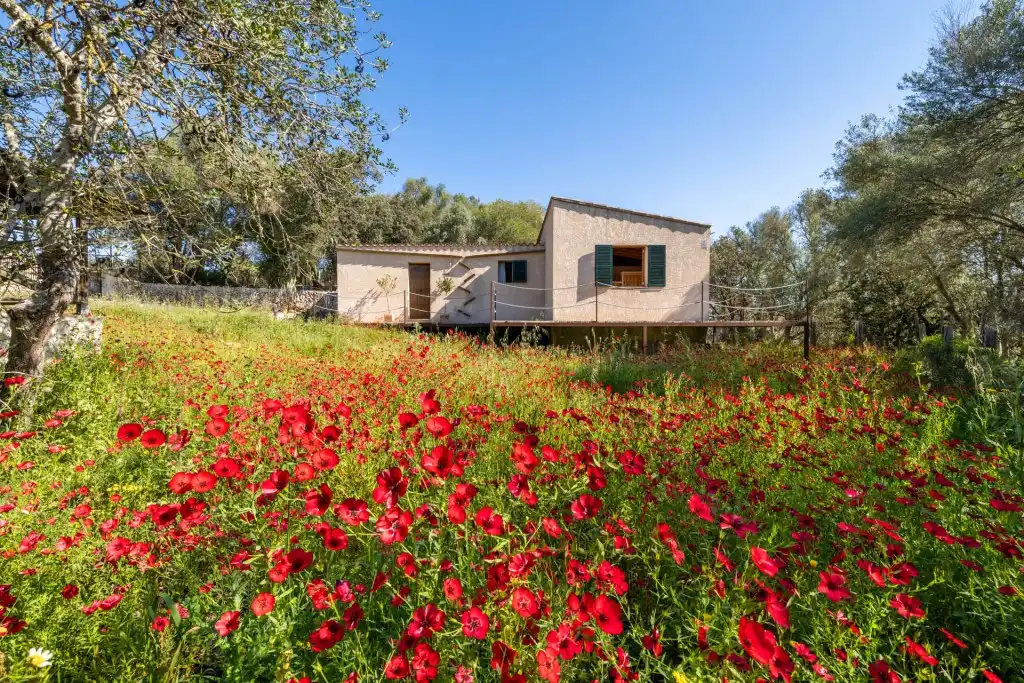 Casa rústica con piscina en venta en Sineu, imagen 29