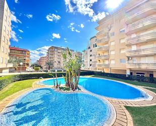 Swimming pool of Apartment for sale in Daimús  with Private garden, Terrace and Storage room