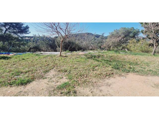 Terreno en Venta en Tiana