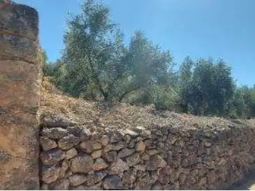 Land for sale in Beas de Segura, Jaén