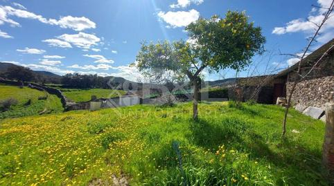 Foto 3 von Fabrikhallen zum Verkauf in Arroyomolinos de León, Huelva