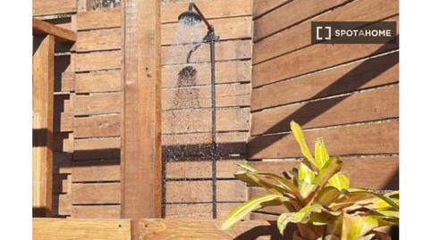 Photo 3 of Study to share in Diseminados, Málaga