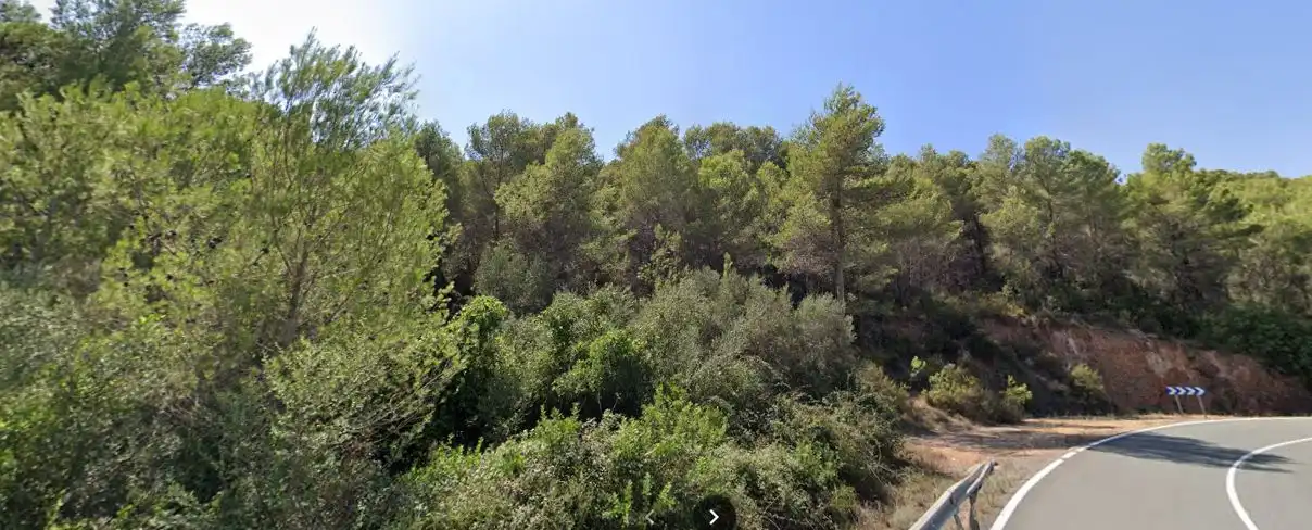 Terreno rustico in vendita a Fanzara, imagen 2
