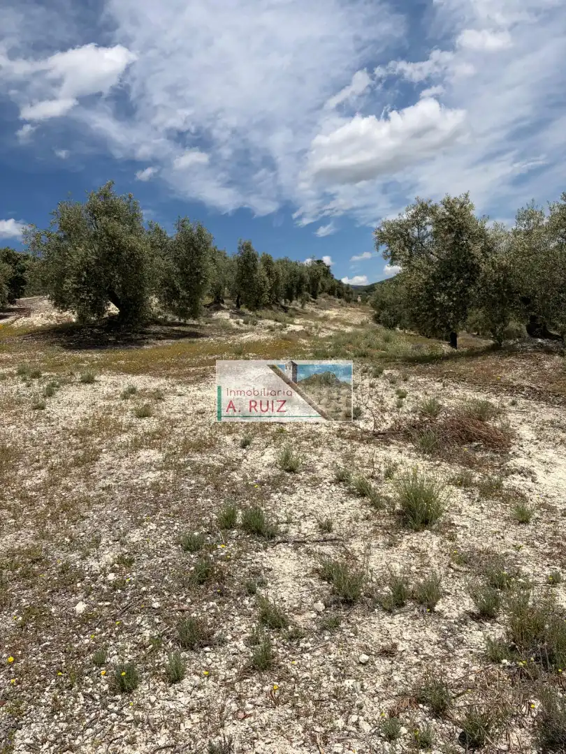 Rural land for sale in Iznájar, imagen 8