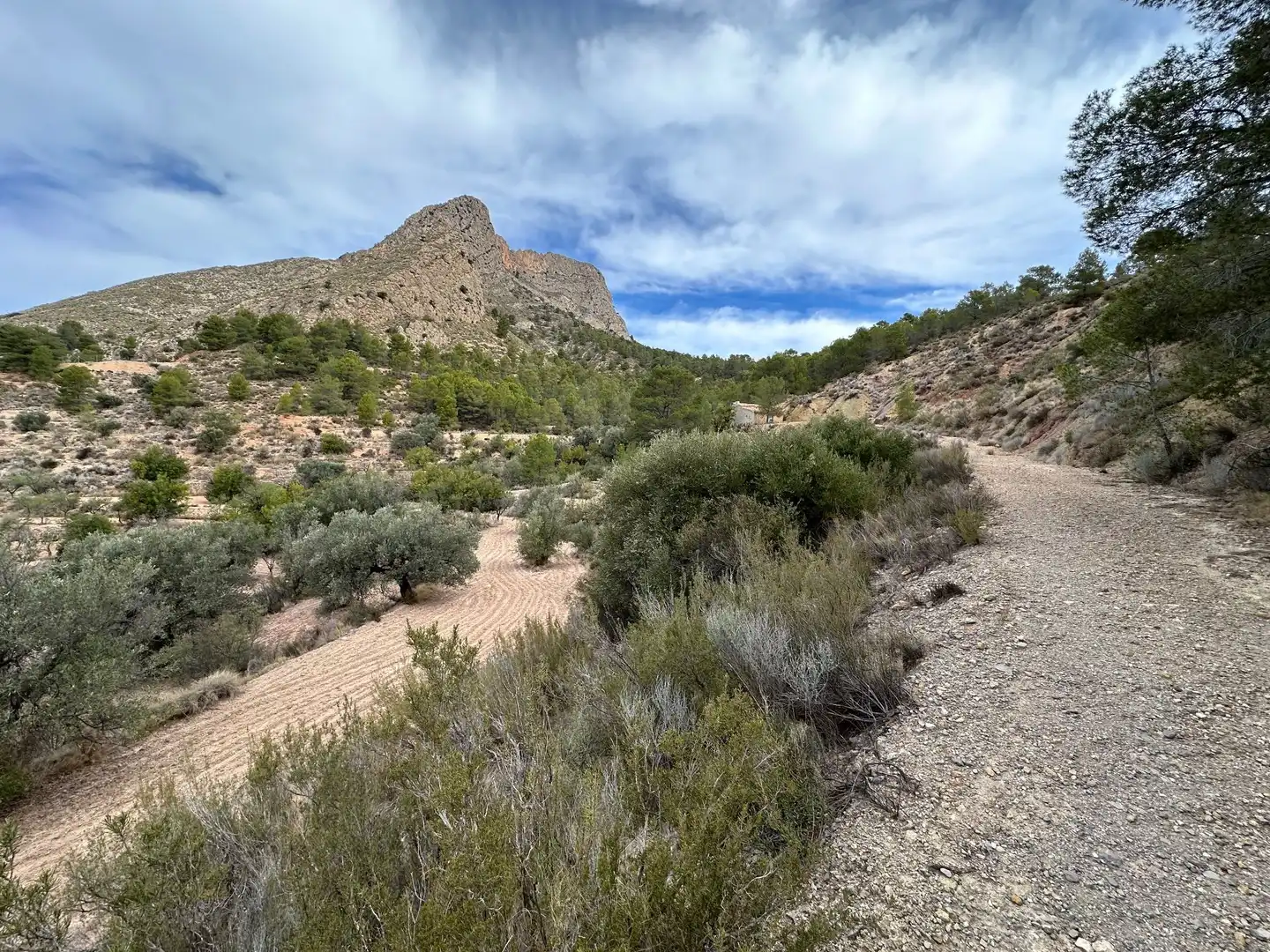 Terreno rustico in vendita a LA SIMA, imagen 6