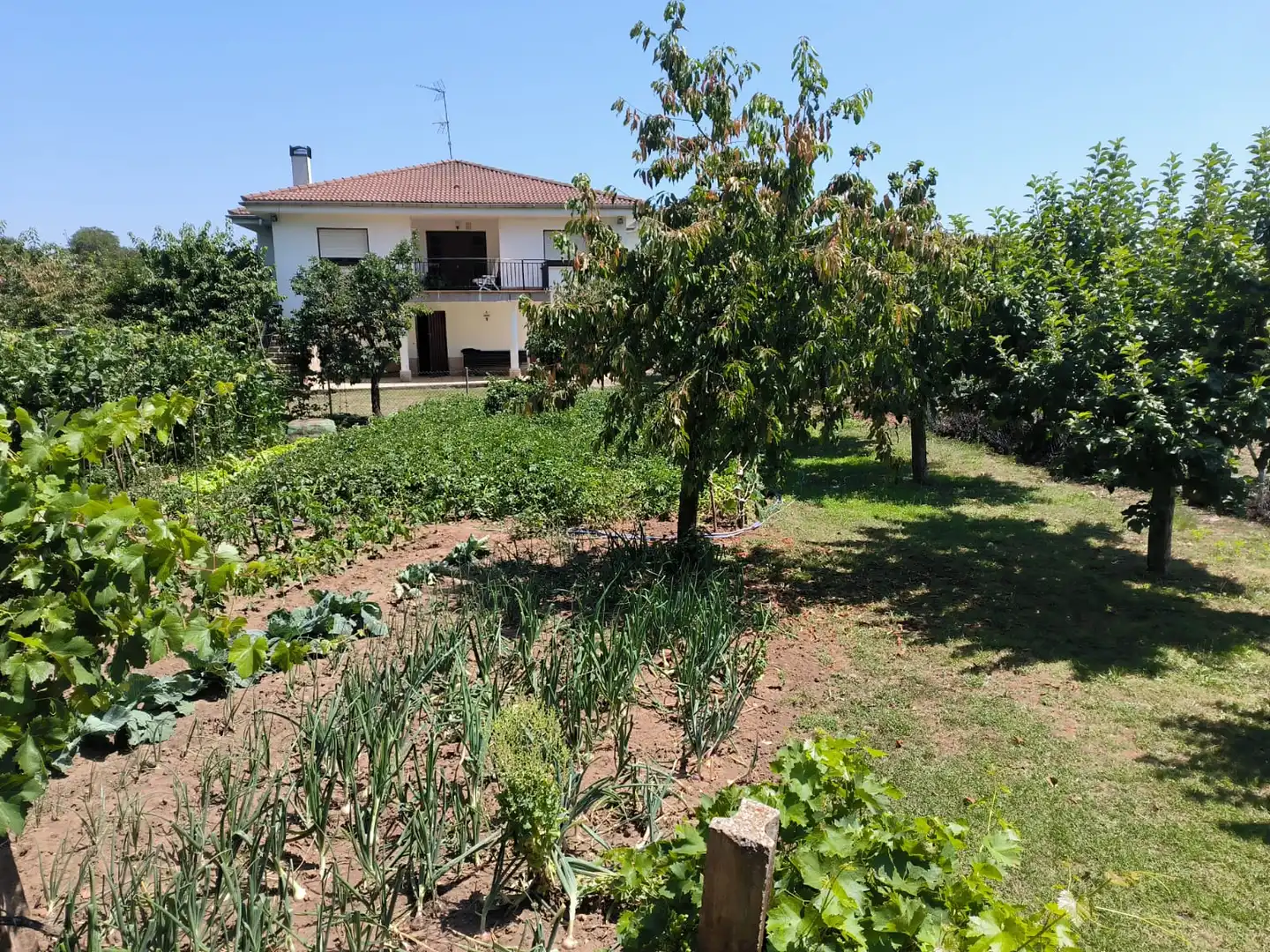 Jardín de Casa o chalet en venta en Medina de Pomar con Calefacción, Jardín privado y Terraza