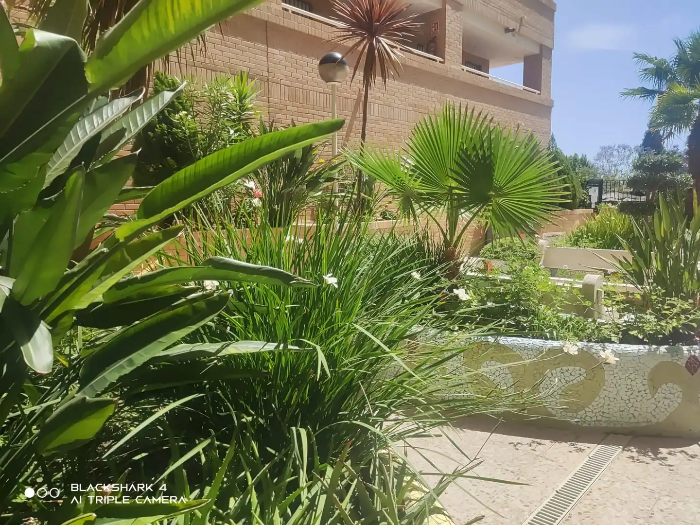 Apartamento con piscina en venta en Camino l'Atall 18, imagen 7