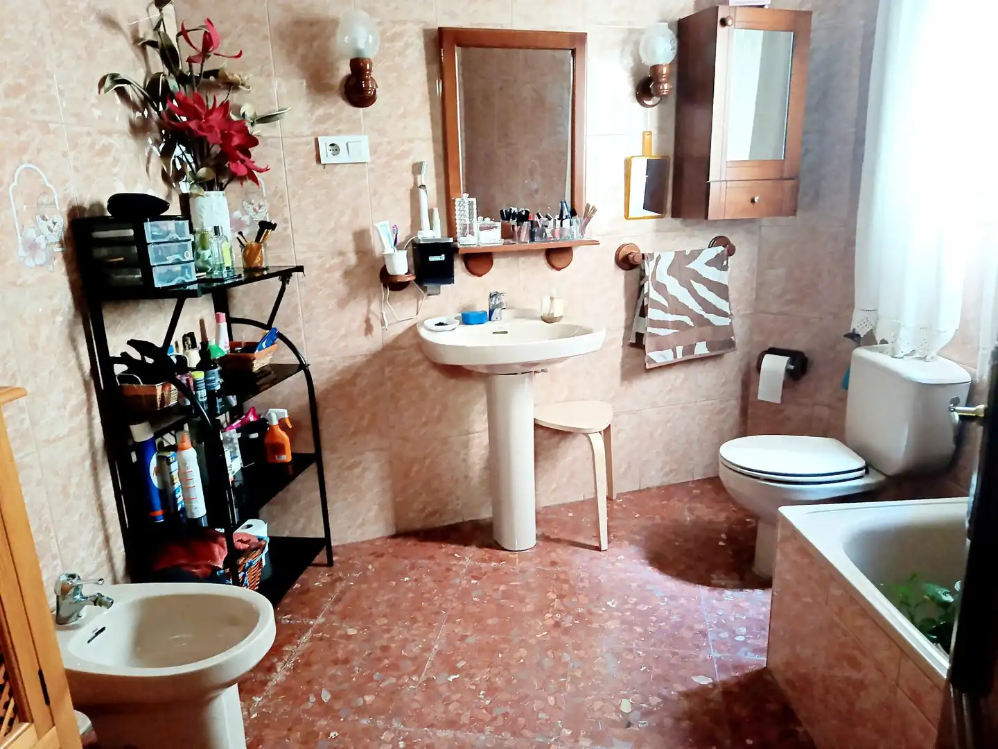 Baño de Casa o chalet en venta en Bajadilla - Fuente Nueva
