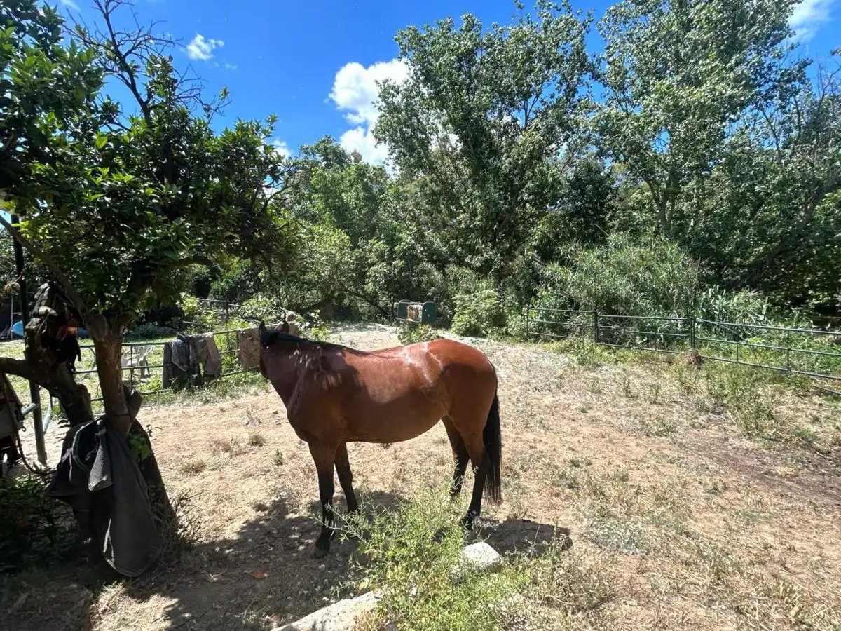 Vista exterior de Finca rústica en venda en San Martín del Tesorillo amb Terrassa