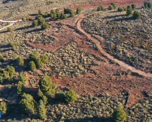 Land for sale in Alcolea