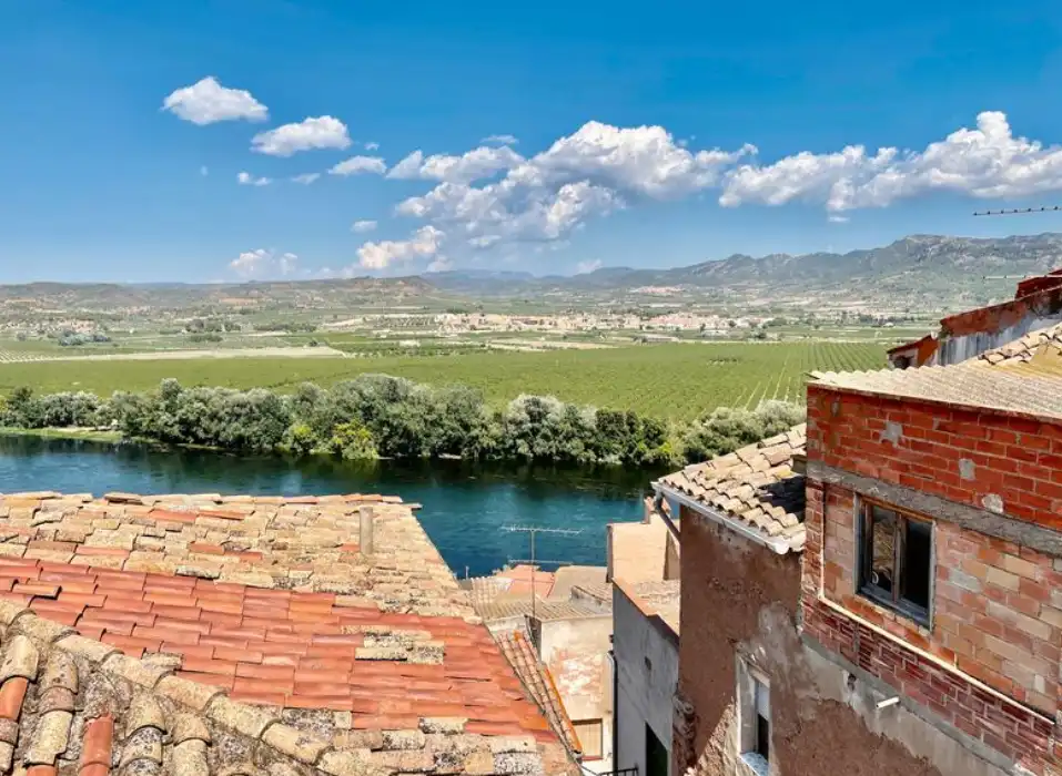 Exterior view of Houses for sale in Ascó