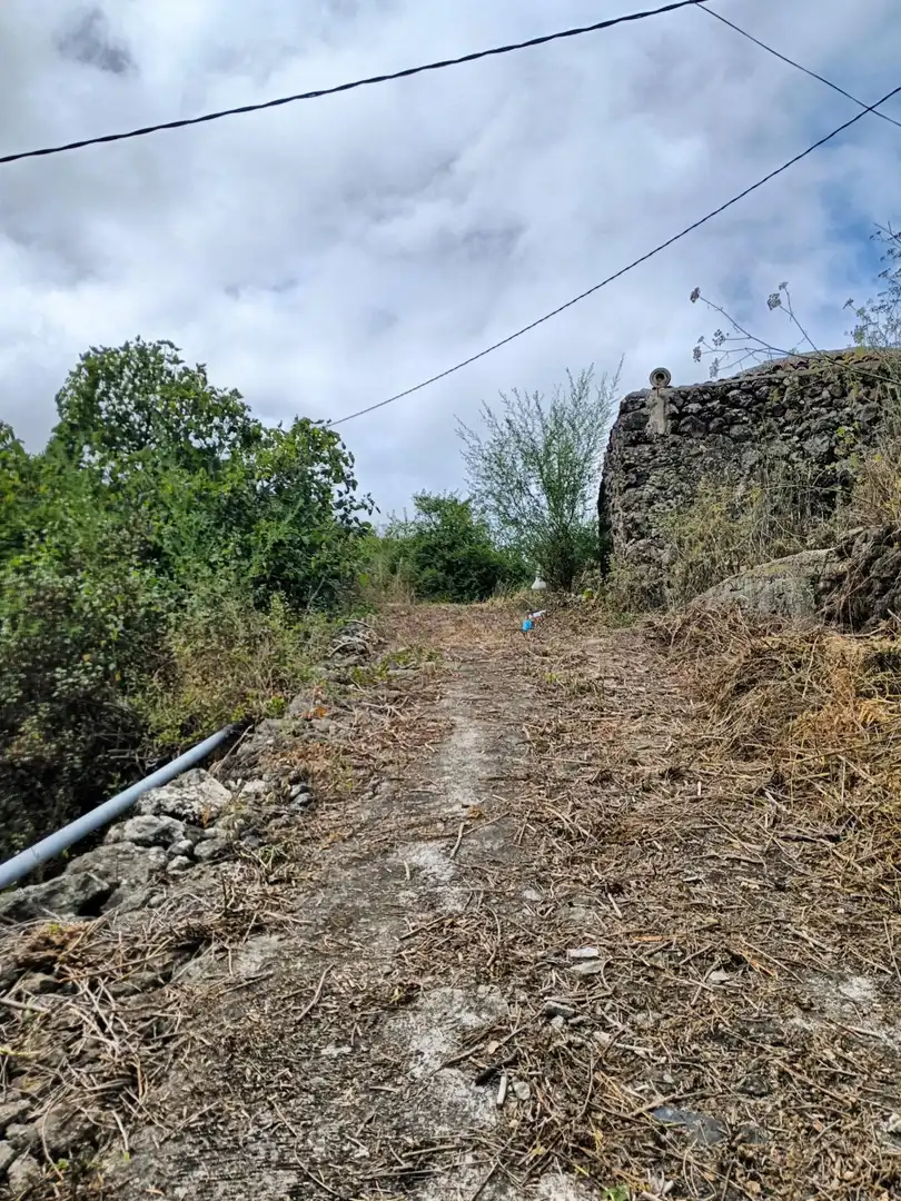 Rural land for sale in La Vega - El Amparo - Cueva del Viento, imagen 13