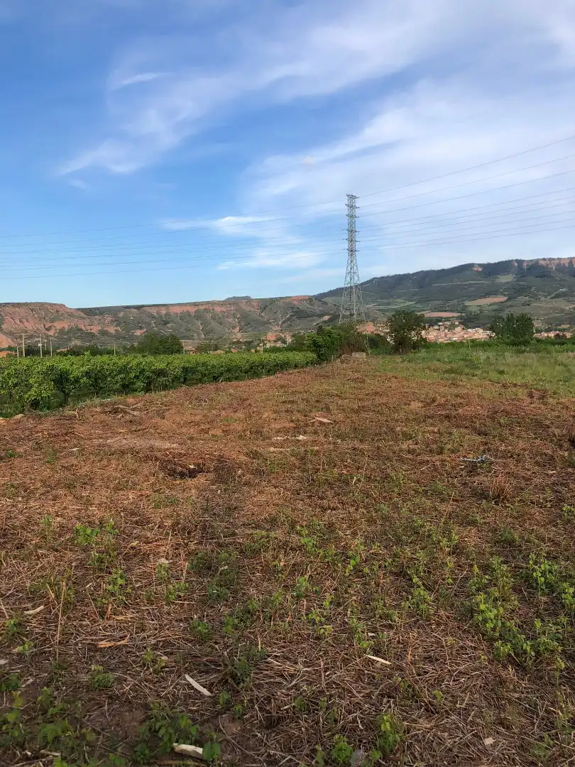 Terreni e lotti in vendita a Albelda de Iregua, imagen 9