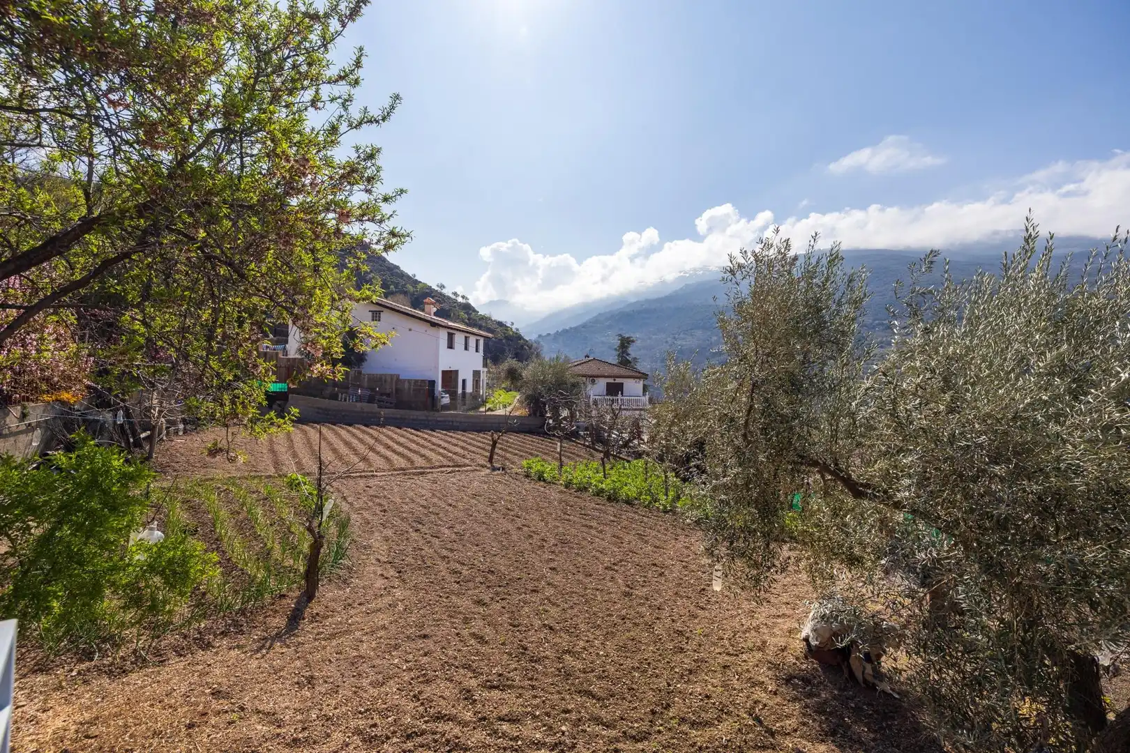 Villa con terrazza in vendita a Güéjar Sierra, imagen 34