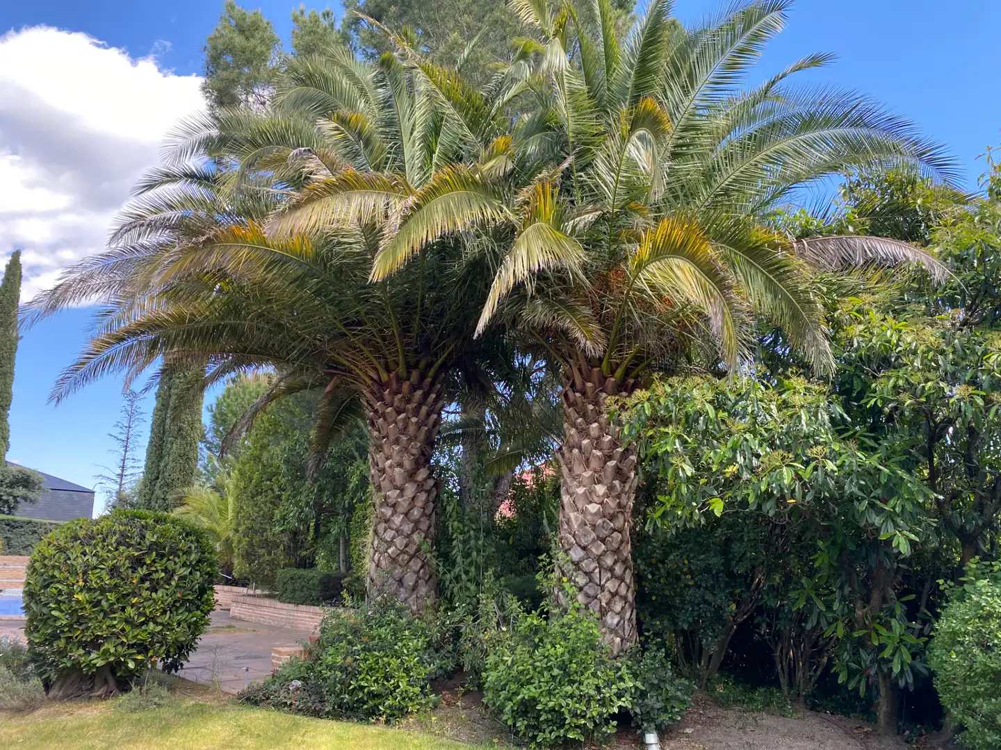 Jardín de Casa o chalet en venta en Las Rozas de Madrid con Aire acondicionado, Calefacción y Jardín privado