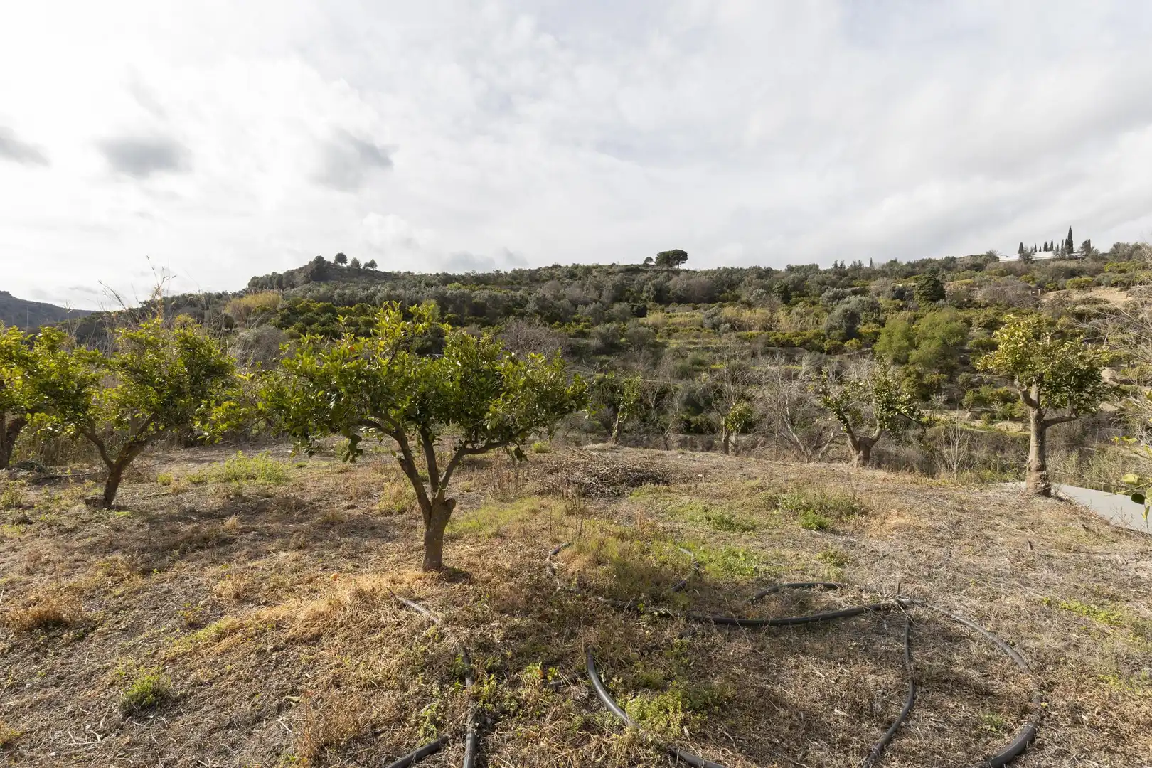 Finca rústica en venta en El Valle, Serón