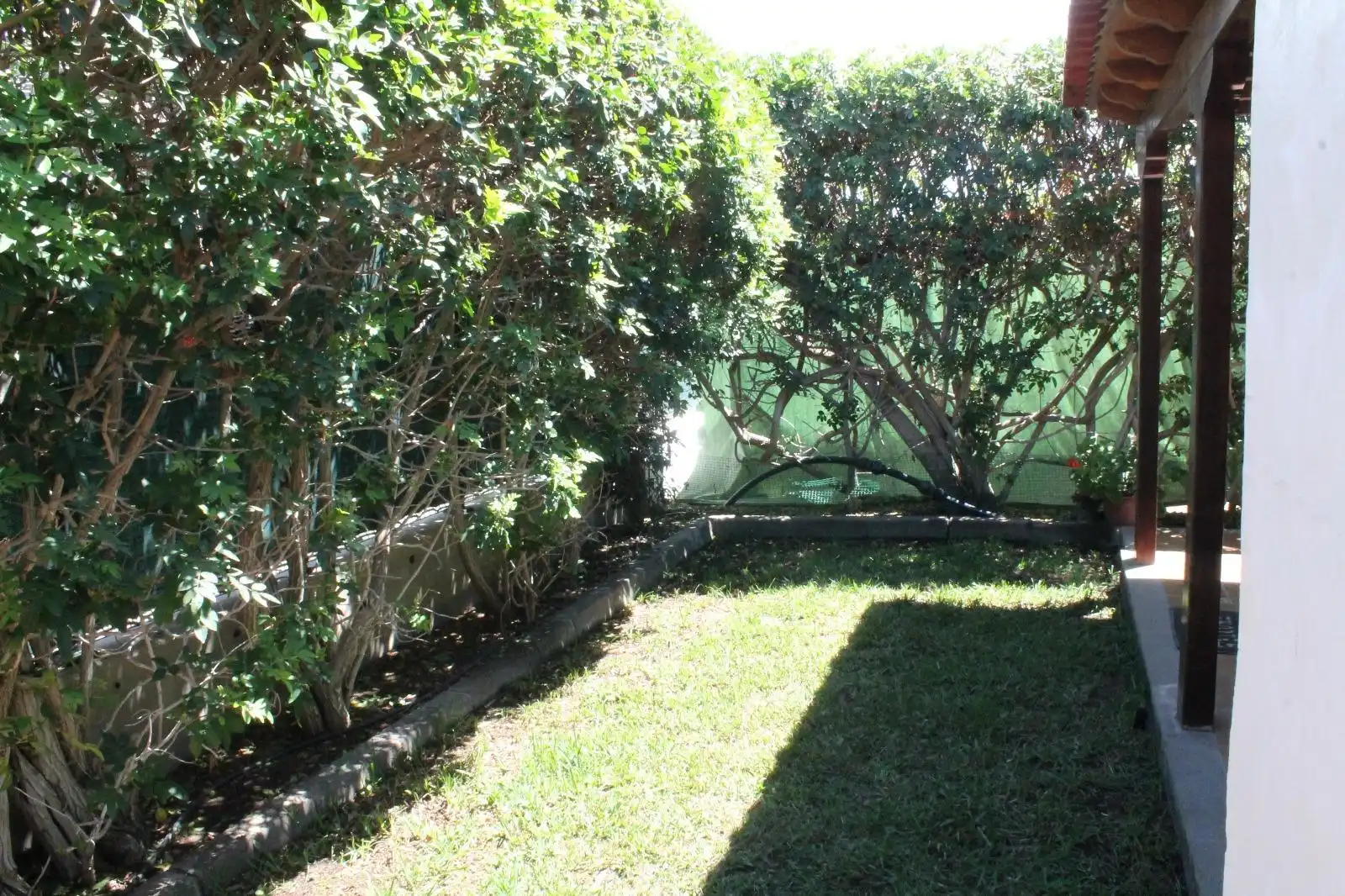 Bungalow avec piscine à louer à Avenida TOUROPERADOR TUI, imagen 6