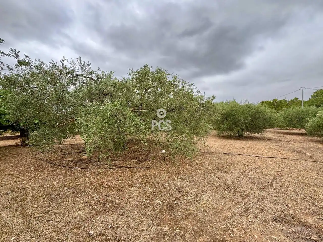 Chalet con jardín en venta en Travesia Zona Llano de las Cabras - Aledo S/N, imagen 29