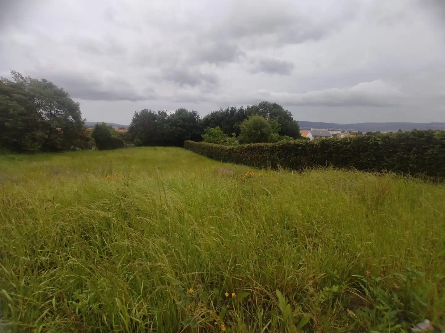 Terreni e lotti in vendita a A Malata - Catabois - Ciudad Jardín, imagen 3
