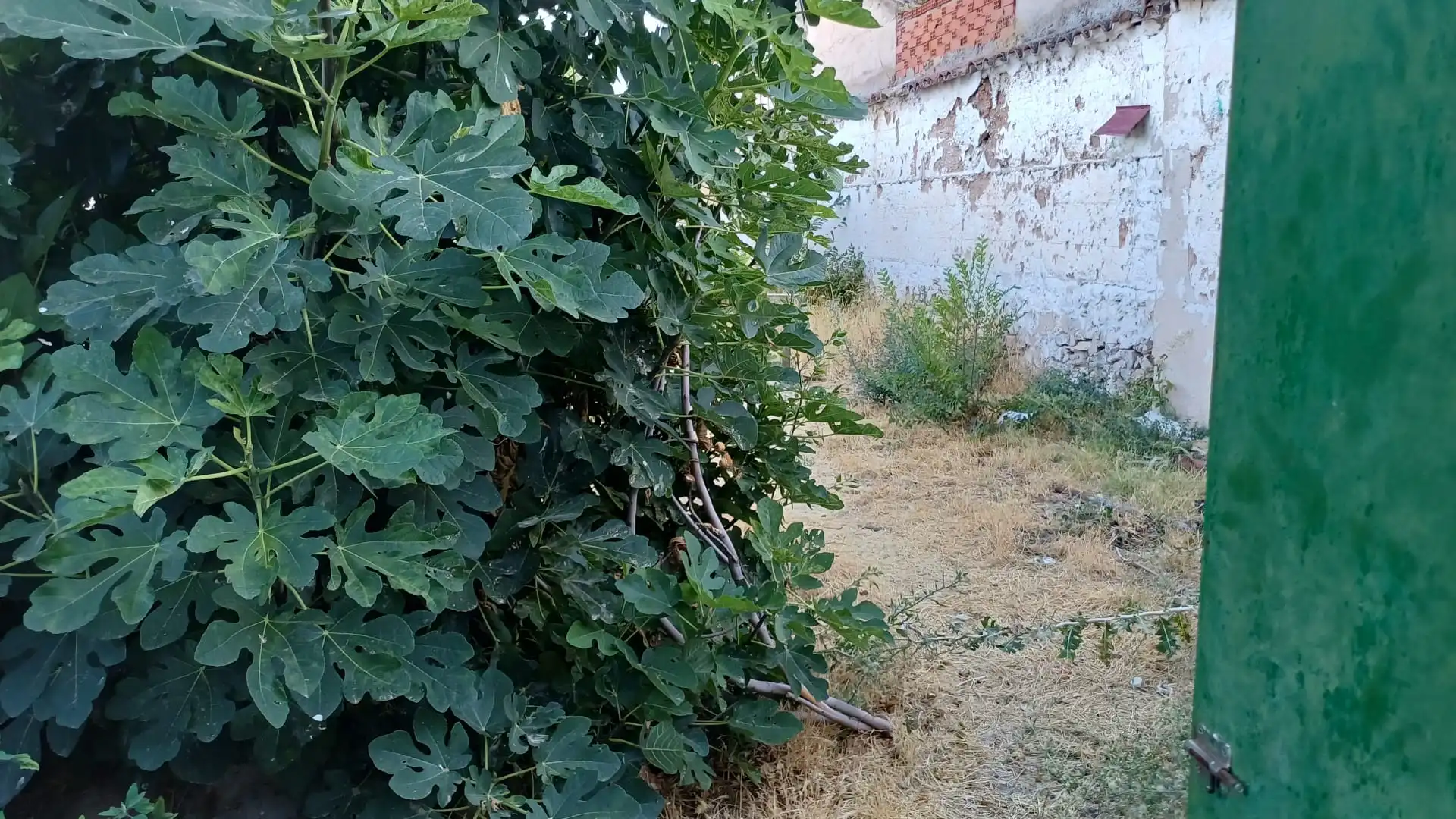 House for sale in Calle Sierra, imagen 3