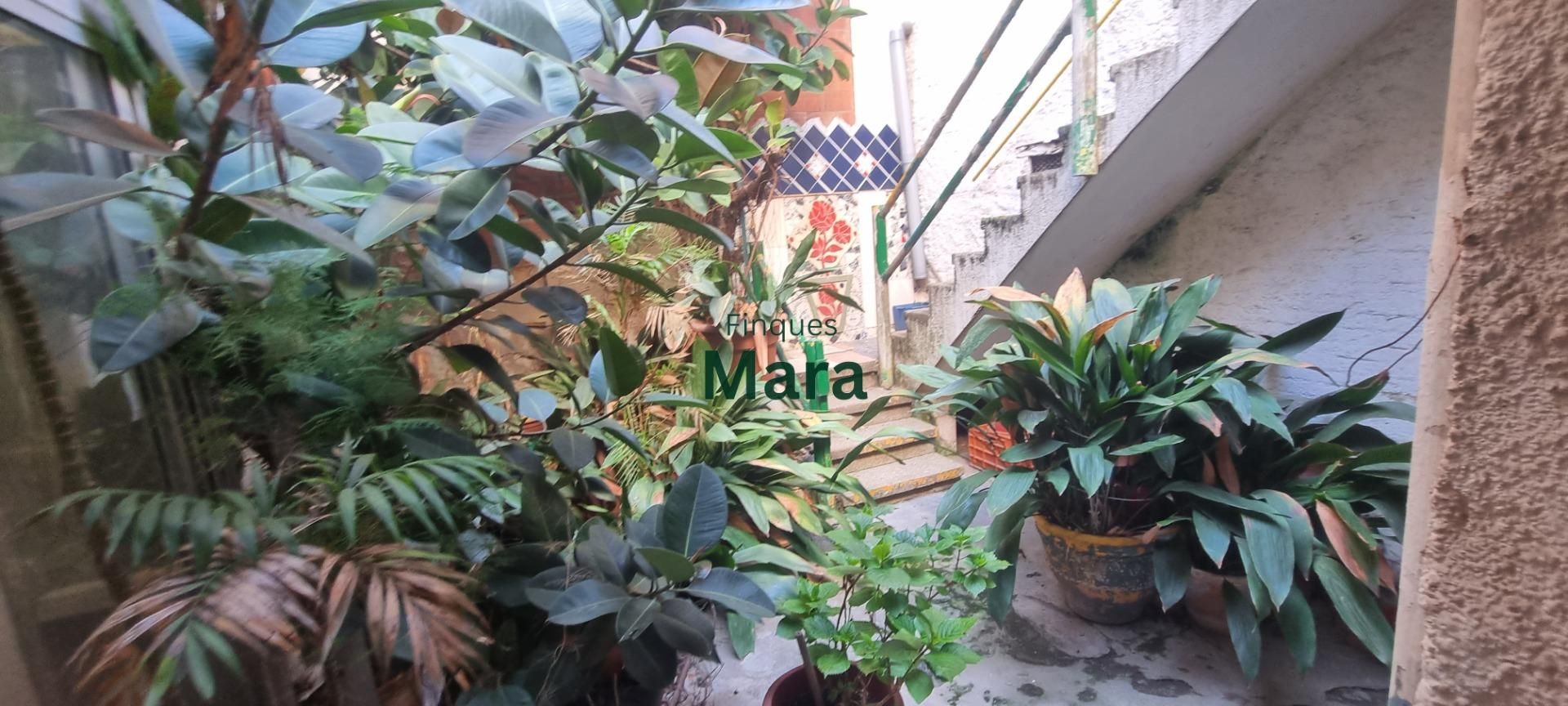 Vista exterior de Casa o xalet en venda en Sant Boi de Llobregat