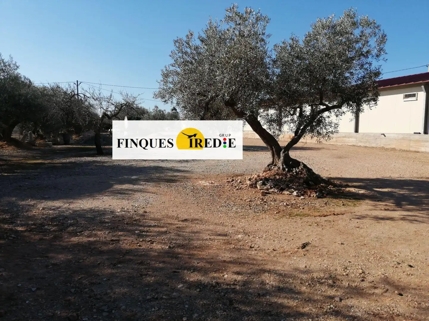 Business premises for sale in L'Ampolla, imagen 17