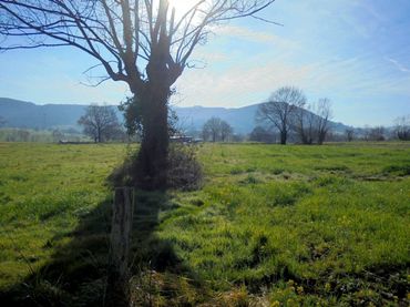 Terreno rustico in vendita a Penagos
