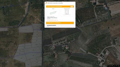 Oportunidad de finca en Marchena, immagine 2
