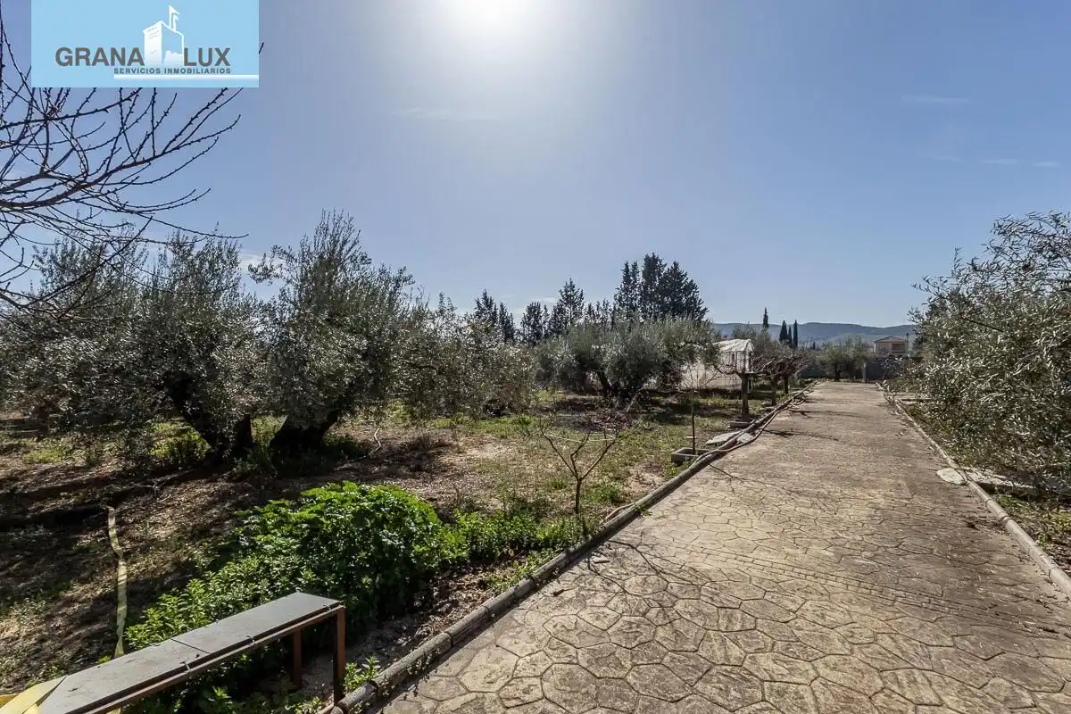 Chalet con piscina en venta en Calle Olmo, imagen 36