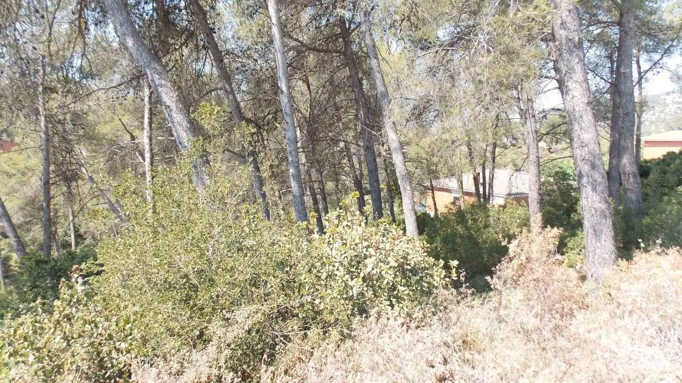 Terreny residencial en venda a Vallirana, imagen 4