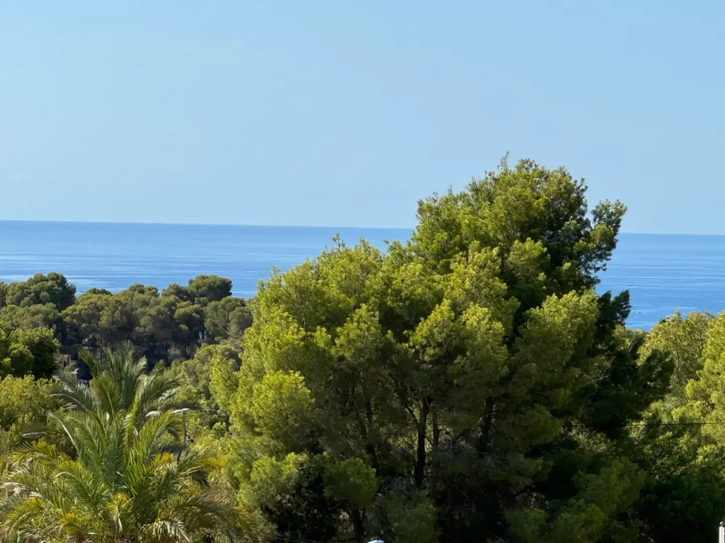 Villa con piscina in vendita a Cala Advocat - Baladrar, imagen 43