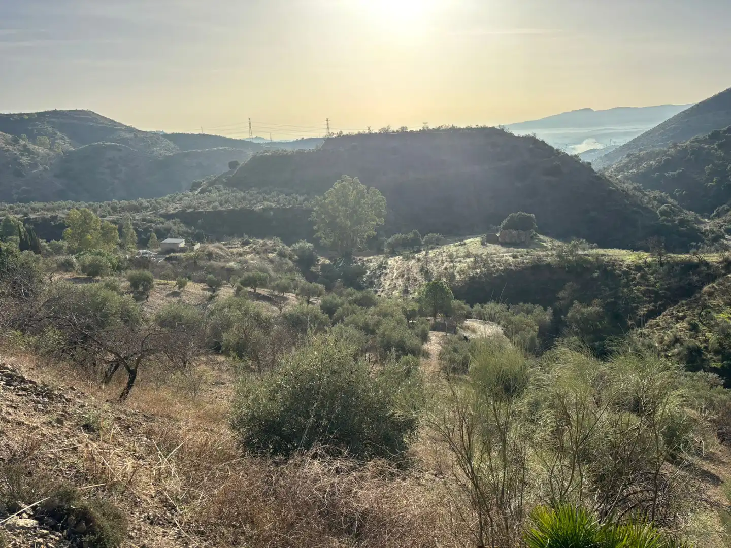 Terreno en venta en Cártama
