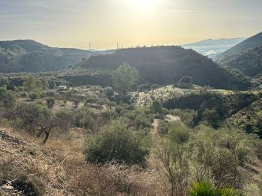 Terreno rustico in vendita a Diseminado Poligono 2 198