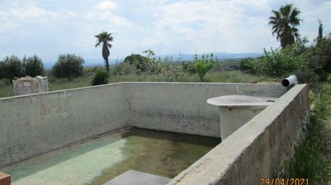 finca con caseta, balsa  y agua a 9 km del centro de Vinaròs, imatge 3