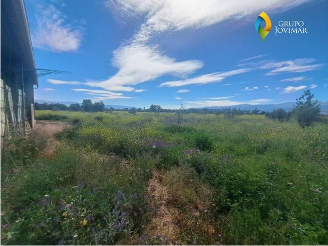 Terreno en Venta en Cogollos de Guadix