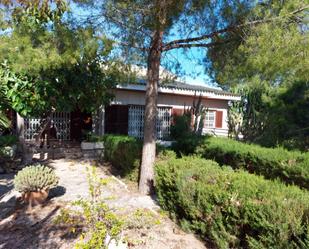 Vista exterior de Casa o xalet en venda en  Murcia Capital amb Terrassa