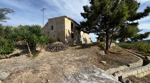 🌿 Finca rústica en plena producción  única a tan solo 1,5 km de Cehegín – ideal para chalet legal o casas rurales, immagine 2