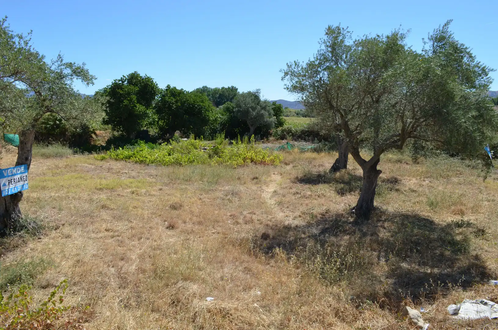 Terreni e lotti in vendita a Carcaboso, imagen 3