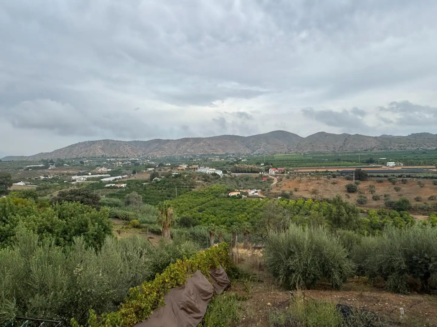 Landhaus mit Garten zum Verkauf in Alquería - Torrealquería, imagen 39