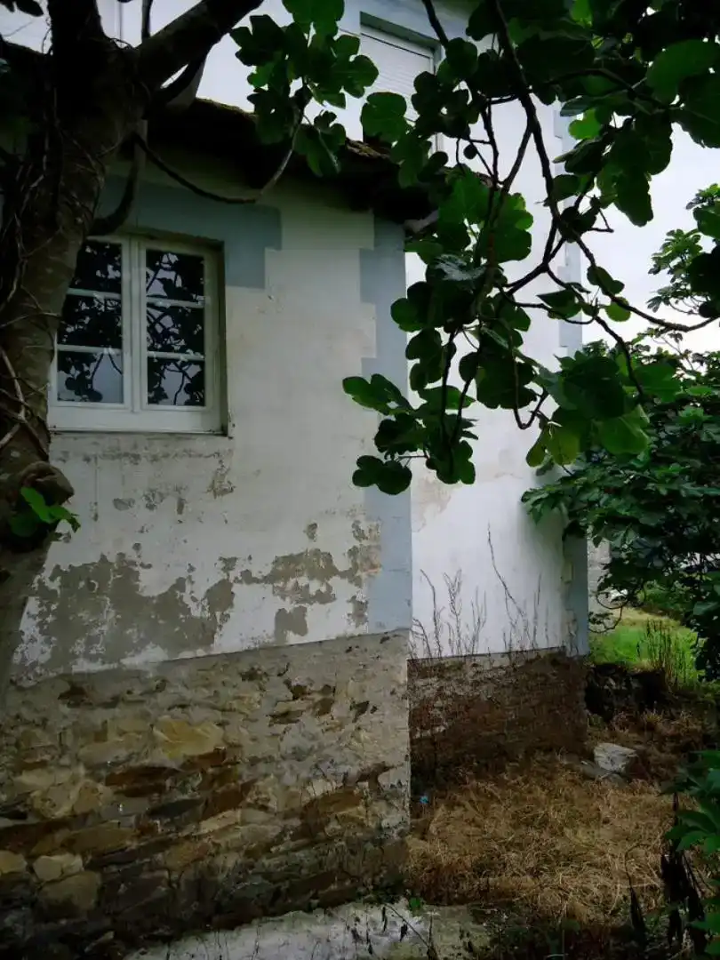 Vista exterior de Finca rústica en venda en Villayón